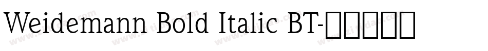 Weidemann Bold Italic BT字体转换
